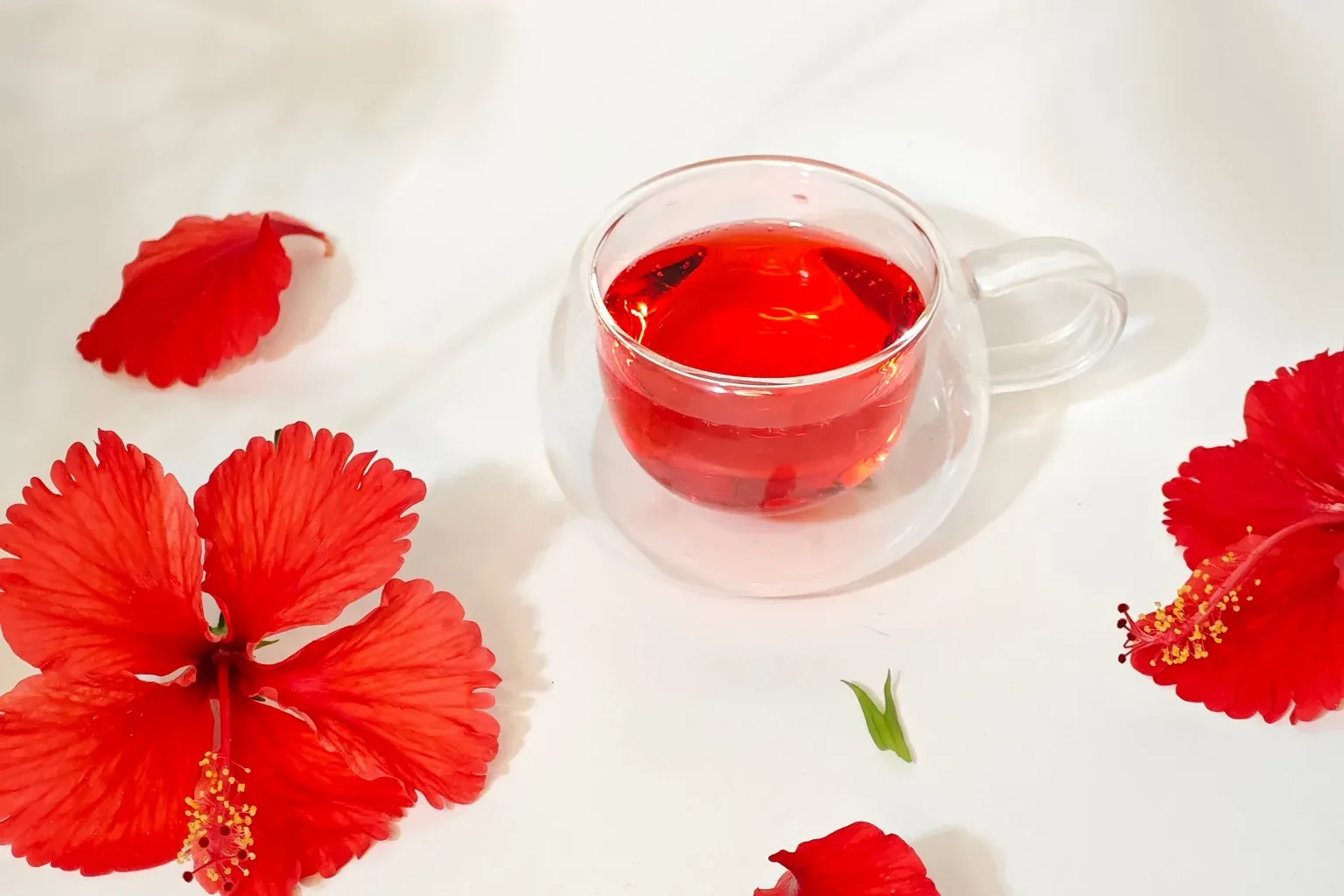 Kırmızı hibiskus çayı ve kurutulmuş hibiskus çiçekleri
